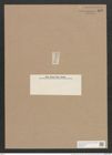 Navicula elliptica v. parva O.M. (de-Toni-Nr.: Genus 1, Species 298) Zeichnungen Sammlung Grunow Nr. 695 (NHMW-BOT-W0367070)